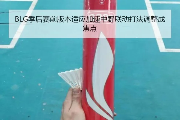 BLG季后赛前版本适应加速中野联动打法调整成焦点