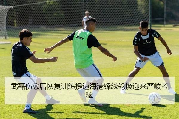武磊伤愈后恢复训练提速海港锋线轮换迎来严峻考验